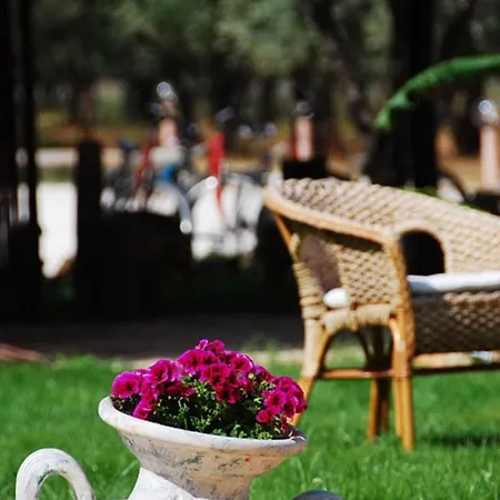 Trigrana Vacanze Hotel Castelluzzo
